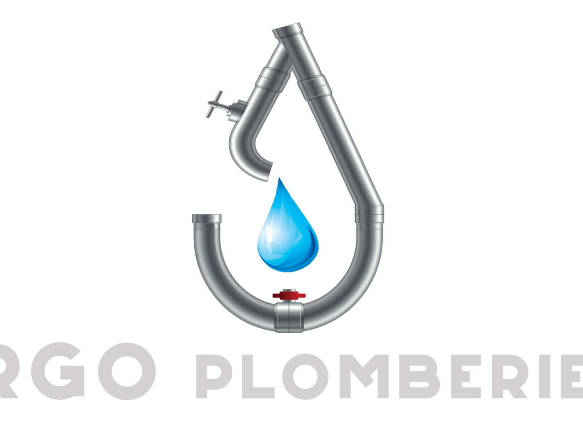 Ouverture du site Internet